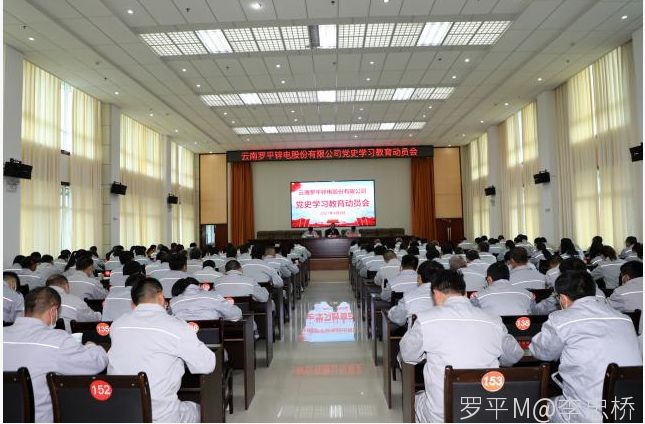 云南凯发马竞锌电股份有限公司召开党史学习教育动员会